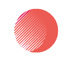 Portfolio Website